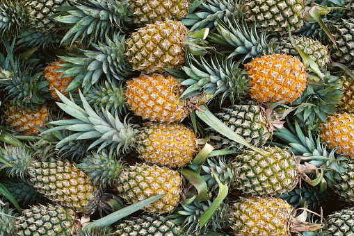 Pineapple background,tropical fruit juicy in thailand