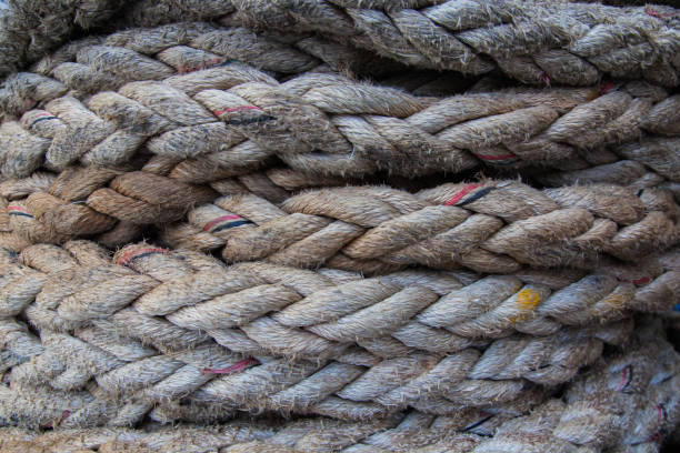 istock Ship's rope for mooring twisted into a coil. 1505597035