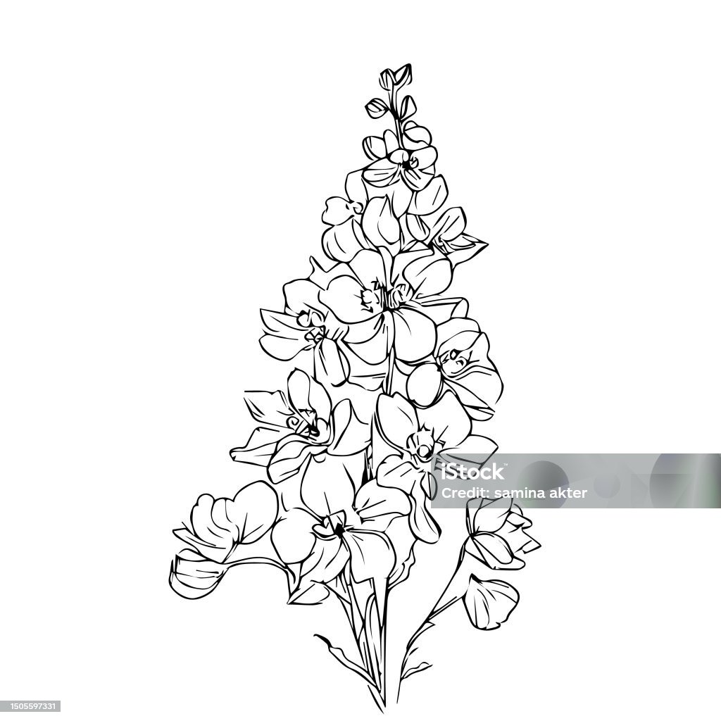 My Image 7