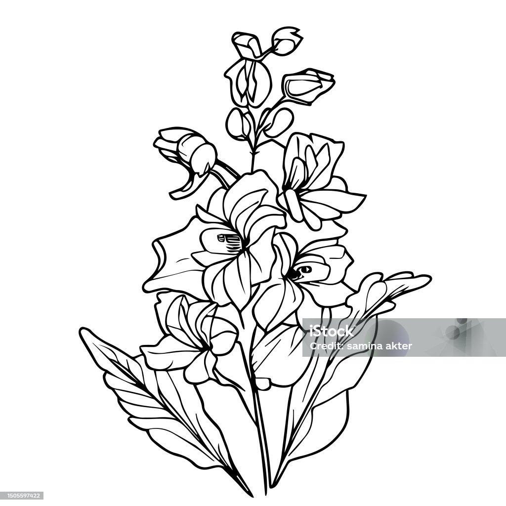 My Image 11
