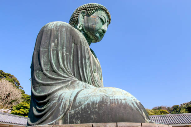 großer buddha (daibutsu) in kamakura, japan - hase temple stock-fotos und bilder