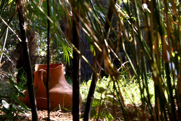istock Vase in the park. 1505618942