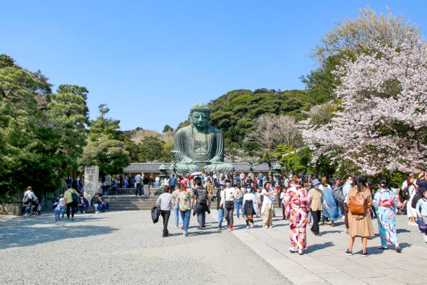 turistas en el gran buda en kamakura, japón - kamakura japan tourist people fotografías e imágenes de stock