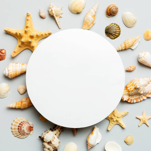 istock Summer time concept with blank greeting card and blank white paper on colored background. Seashells from ocean shore in the shape of frame separated with space for text top view 1505641623