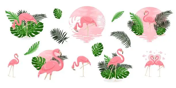 Vector illustration of Set of summer vector illustrations of pink flamingo and tropical leaf. Trendy summer beach background for textile.