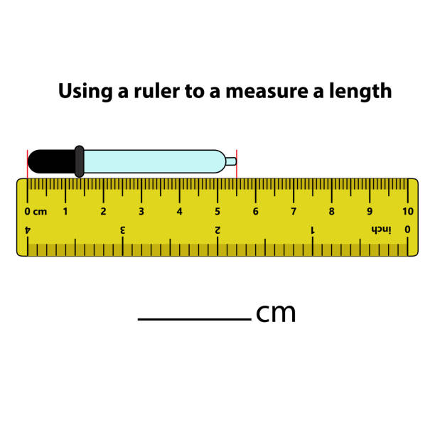 ilustrações de stock, clip art, desenhos animados e ícones de measuring length in centimeters ink pillar with the ruler. education developing worksheet. game for kids. puzzle for children. vector illustration. cartoon style. - white background studio shot macro square