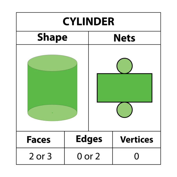 zylindernetze, flächen, kanten, scheitelpunkte. geometrische figuren stehen isoliert auf weißem hintergrund. geometrische 3d-formennetze. in der mathematik. vektor-illustration, - geometric shape pyramid shape three dimensional shape platonic solid stock-grafiken, -clipart, -cartoons und -symbole