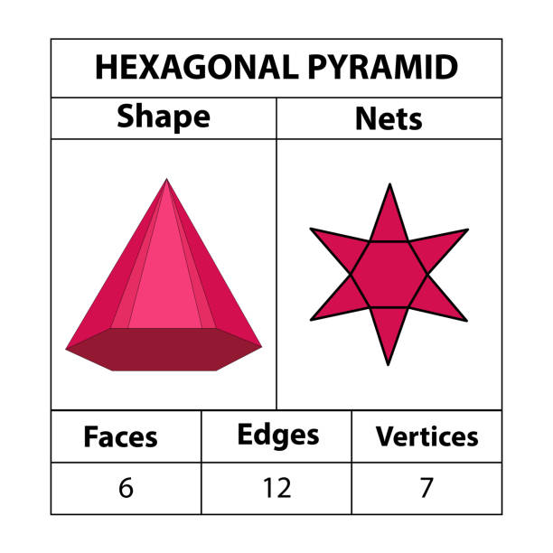 ilustrações de stock, clip art, desenhos animados e ícones de hexagonal pyramid nets, faces, edges, and vertices. geometric figures are set isolated on a white backdrop. geometric 3d shapes nets. in mathematics. vector illustration, - geometric shape pyramid shape three dimensional shape platonic solid