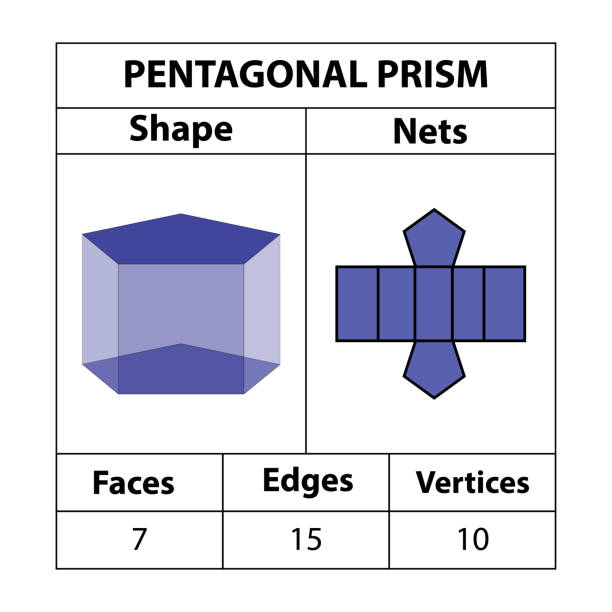 fünfeckige prismennetze, flächen, kanten und scheitelpunkte. geometrische figuren stehen isoliert auf weißem hintergrund. geometrische 3d-formennetze. in der mathematik. vektor-illustration, - geometric shape pyramid shape three dimensional shape platonic solid stock-grafiken, -clipart, -cartoons und -symbole