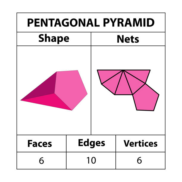 ilustrações de stock, clip art, desenhos animados e ícones de pentagonal pyramid nets, faces, edges, and vertices. geometric figures are set isolated on a white backdrop. geometric 3d shapes nets. in mathematics. vector illustration, - geometric shape pyramid shape three dimensional shape platonic solid