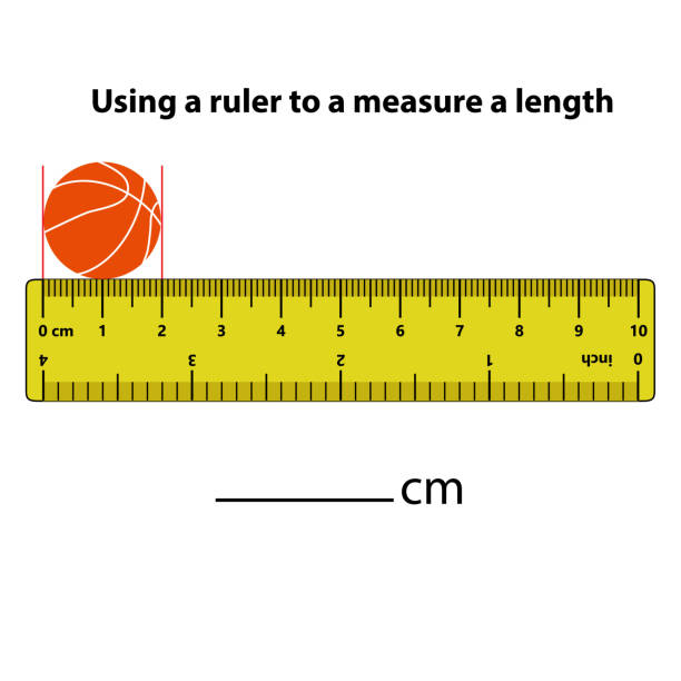 ilustrações de stock, clip art, desenhos animados e ícones de measuring length in centimeters basket ball with the ruler. education developing worksheet. game for kids. puzzle for children. vector illustration. cartoon style. - white background studio shot macro square