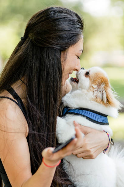istock Young woman using phone while walking her small dog in the park 1505719174