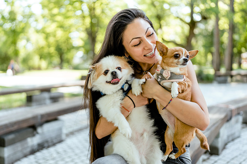 Portrait of young woman spending a lovely time with her two small dogs in the park