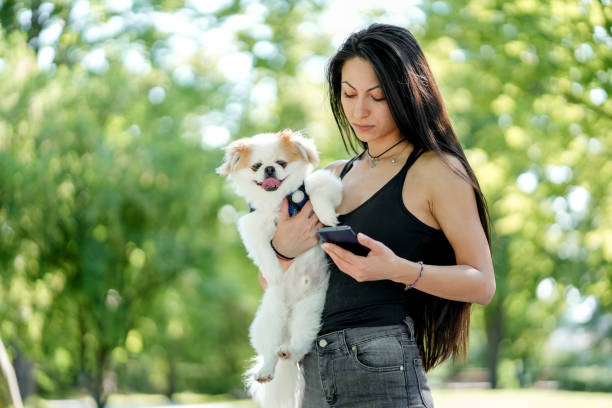 istock Young woman using phone while walking her small dog in the park 1505720323