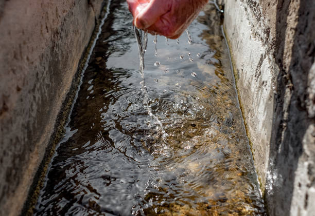 istock Blurred Caucasian elderly man's hands collect fresh water from a stream to quench their thirst during a walk. Focus on the water 1505722051