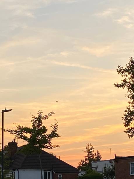 istock Birds flying over the rooftops in the distance 1505724278