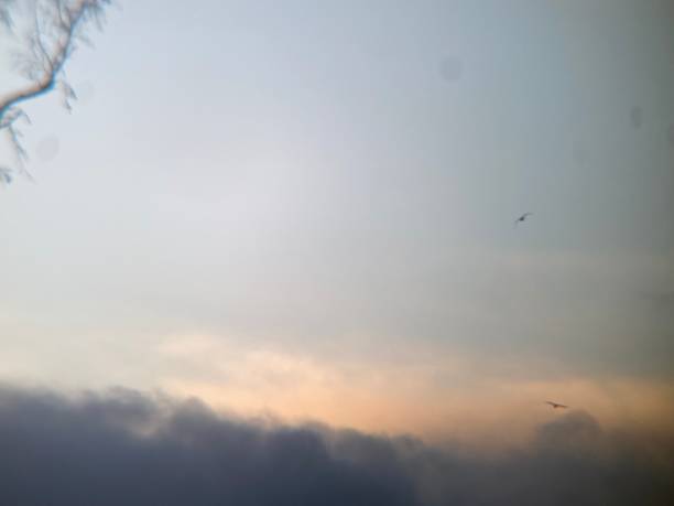 istock Two birds flying in the distance 1505726533