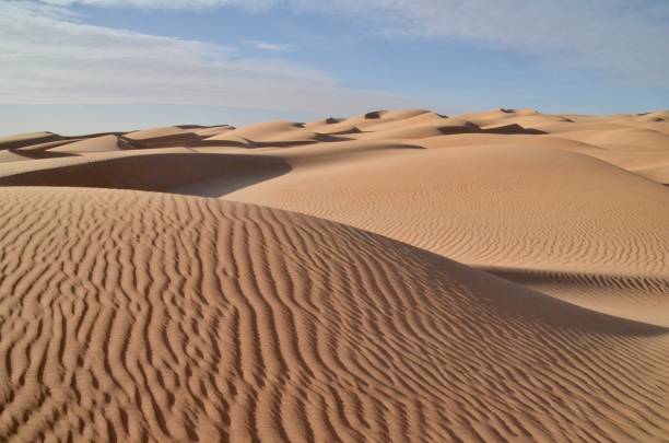 istock Sahara Desert in Mauritania 1505734869