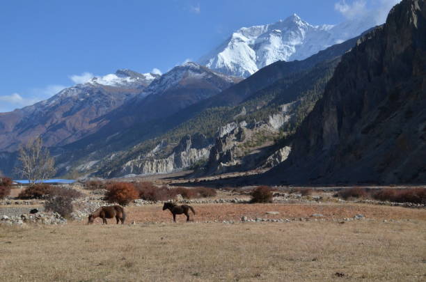 istock Annapurna Circuit in Himalaya in Nepal 1505744303