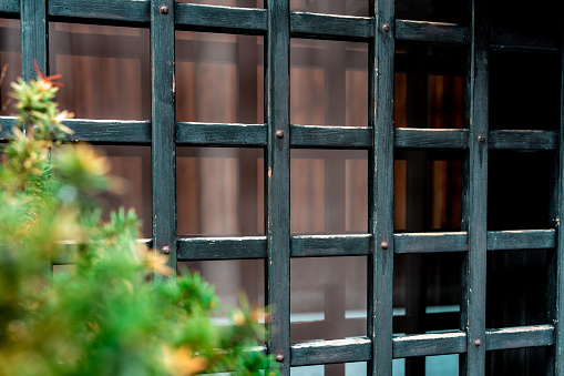 Shrubbery of the entrance side of the Japanese house