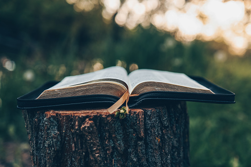 Open bible at sunset in nature, christian concept.