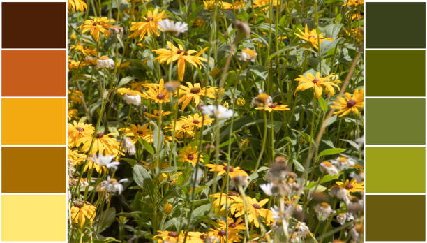 istock Beautiful summer flowers, color swatch 1505863380