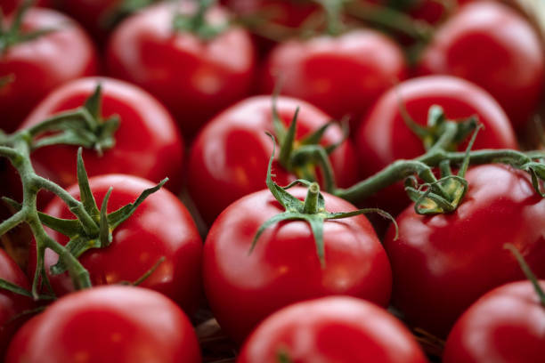 istock Red fresh tomato close up photos 1505896192