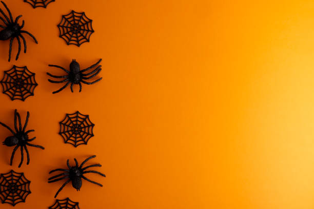 istock Halloween decor pattern black spider and cobweb on orange background copy space 1505909469