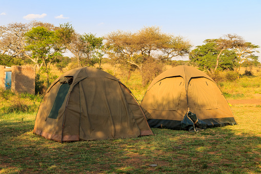 Safari campsite in Serengeti National Park, Tanzania