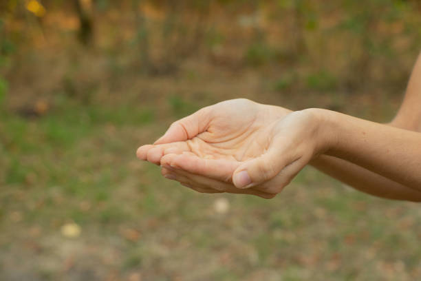 istock female hands close-up outdoors in summer park close up 1505933419