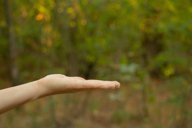 istock female hands close-up outdoors in summer park close up 1505933439