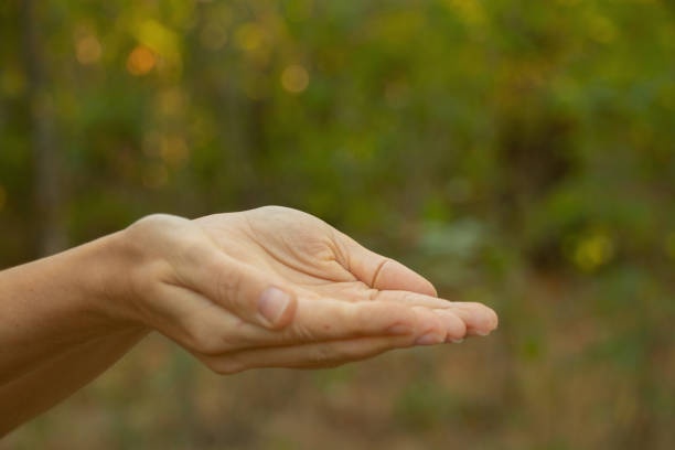 istock female hands close-up outdoors in summer park close up 1505933945