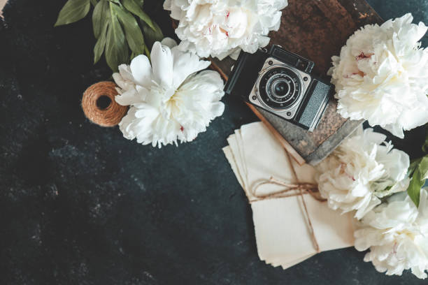 istock Summer background, flat lay layout, peonies and retro camera 1505956189