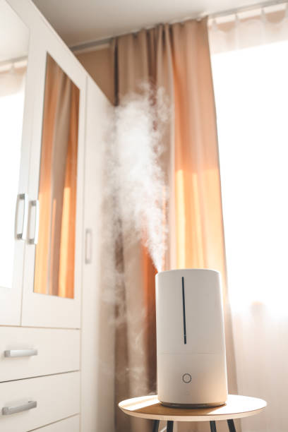 istock Modern air humidifier on table in living room. Space for text 1505966039
