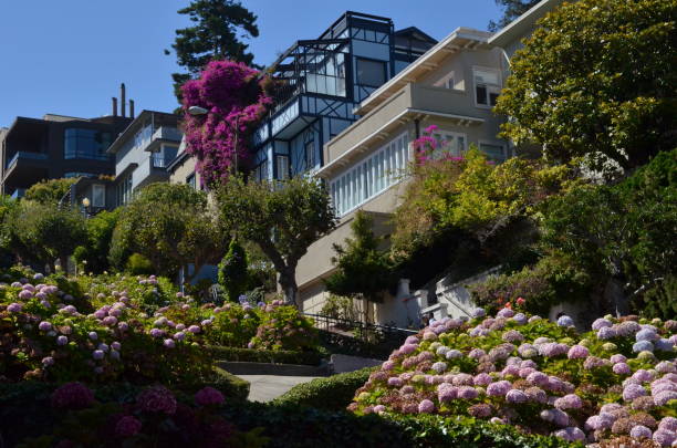 サンフランシスコのロンバード通り - lombard street city urban scene city life ストックフォトと画像