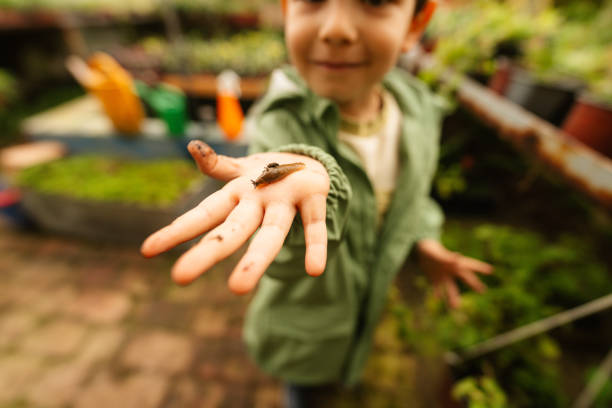 Photo of a little boy who found a snail in the nursery garden