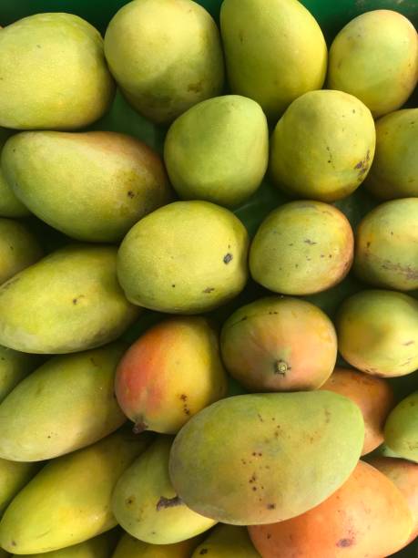 istock The ripe mango in the the basket 1506021599