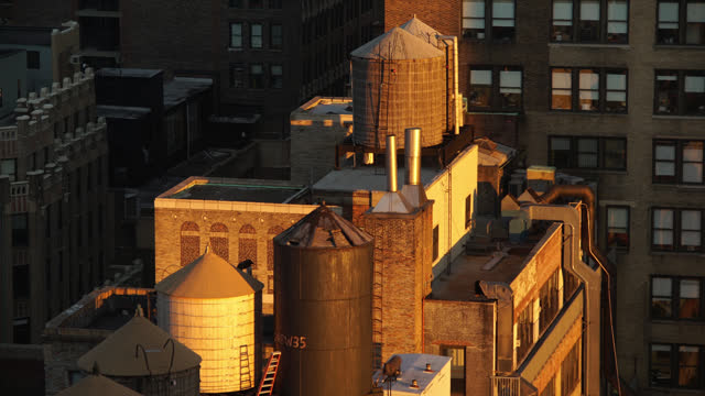 Birds flying by Manhattan roof top water tanks golden hour NYC winter