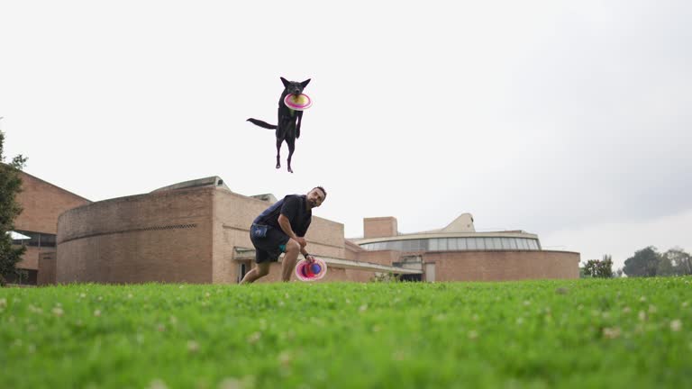 Animal trainer man teaching tricks for dog at public park