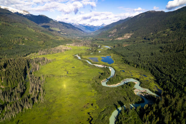 istock Nature and environment landscapes 1506069630