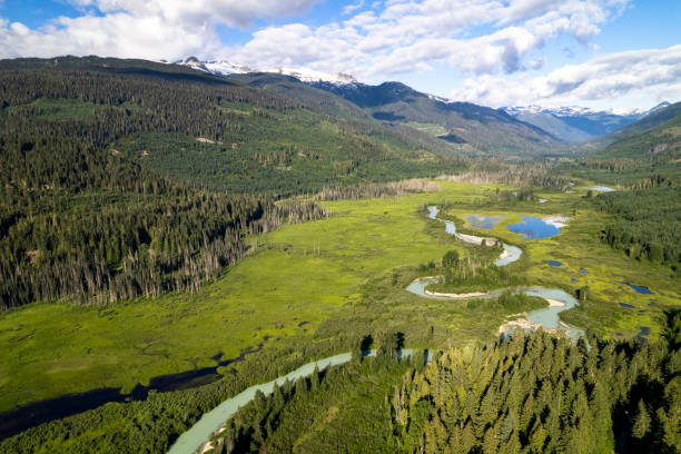 istock Nature and environment landscapes 1506070181