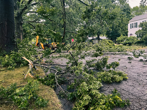 Public works crews cleaning up following extreme weather and tornado damage. Large trees have fallen and are blocking a residential street. A yellow backhoe has arrived to assist in recovery and cleanup efforts. Located in Central Illinois, USA.