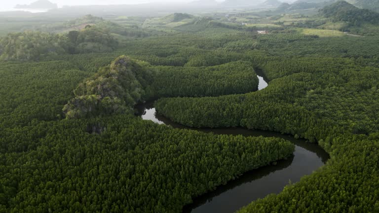 Aerial view of mangrove forest and Andaman sea in Trang province, Thailand