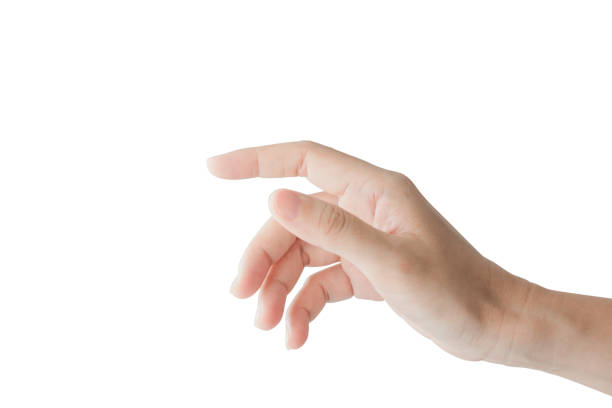 istock Woman's hand holding something, isolated on white background. hand, open hand, carry it. 1506102556