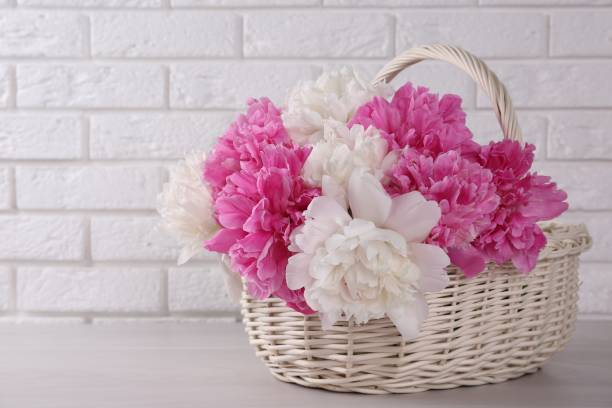 istock Beautiful peonies in wicker basket on white table near brick wall 1506166453