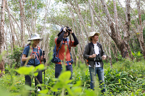 Hikers happily use binoculars to view wildlife or birds . group of hikers walking in the forest to watch a bird in nature, using binoculars for birding by looking at a tree, adventure travel activity in outdoor trekking lifestyle, searching wildlife in the jungle