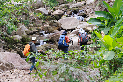 Groups of tourists follow each other up the hill. Group of hikers walking on a dry waterfall. Young people on rocks in the forest hike.Adventure Travel, forest explorer