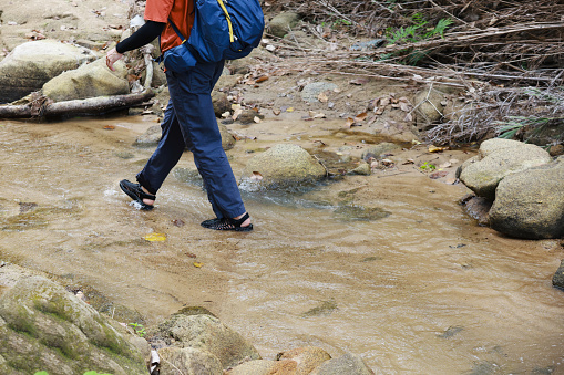A young Asian male with a backpack walks along the bed of a shallow stream in a  forest.