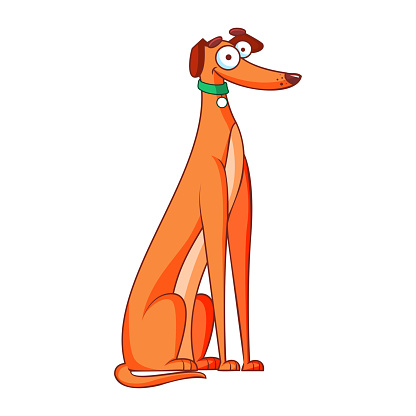 Cartoon greyhound dog Character isolated illustration