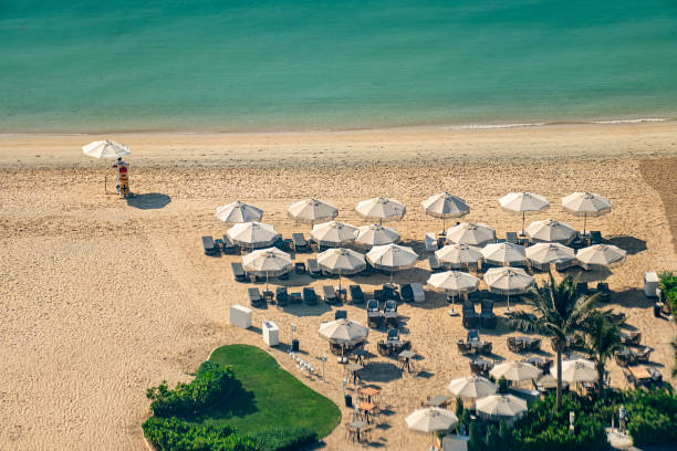 beach with tourists enjoying the sun and sea, sitting under umbrellas aerial top view from above timelapse. - beach palm tree island deck chair imagens e fotografias de stock